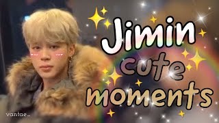 BTS Jimin Cute and Funny Moments