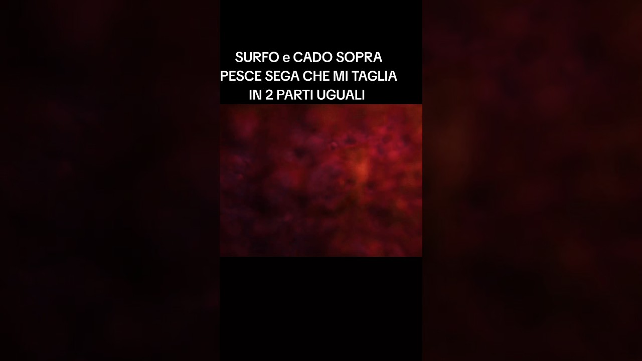 surfo cado su pesce sega in SARDEGNA! 