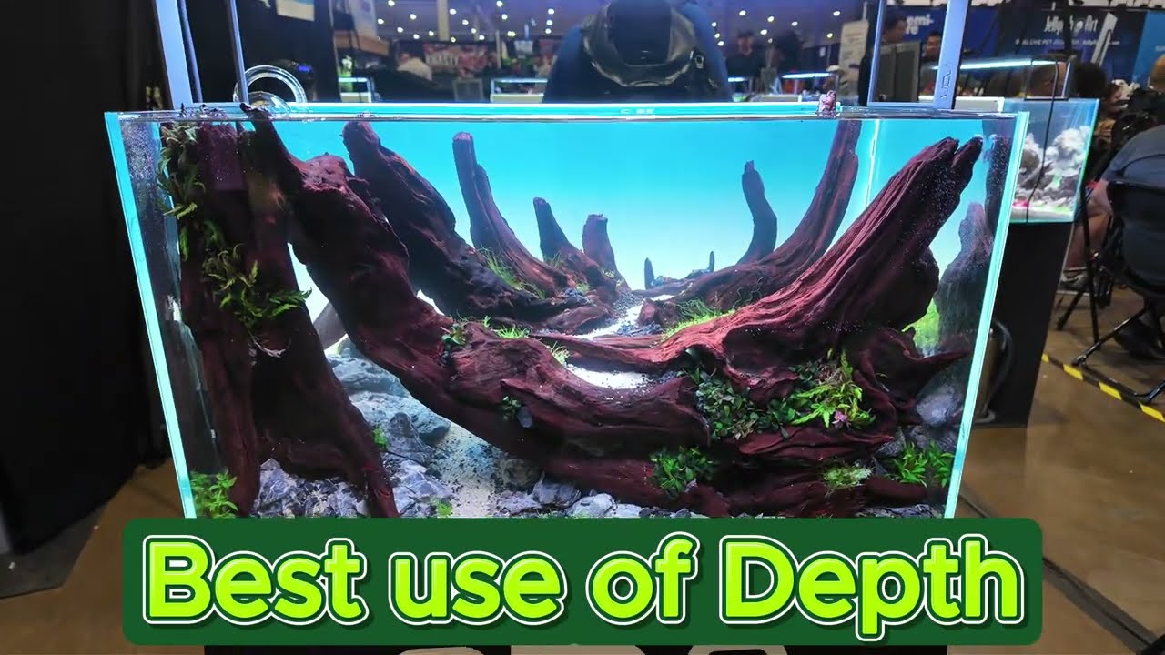 Aquascapes of Aquashella Dallas 2026