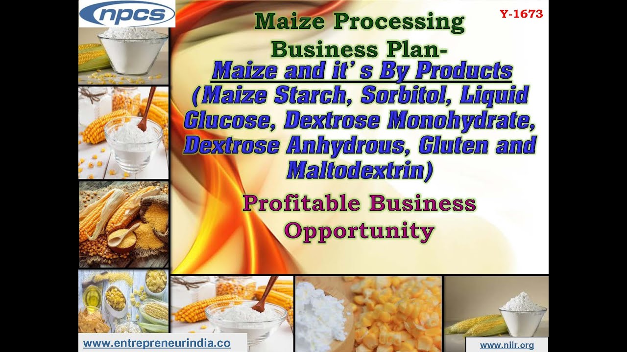 business plan for maize farming project