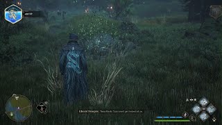 Hogwarts Legacy | Merlin trial Keenbridge