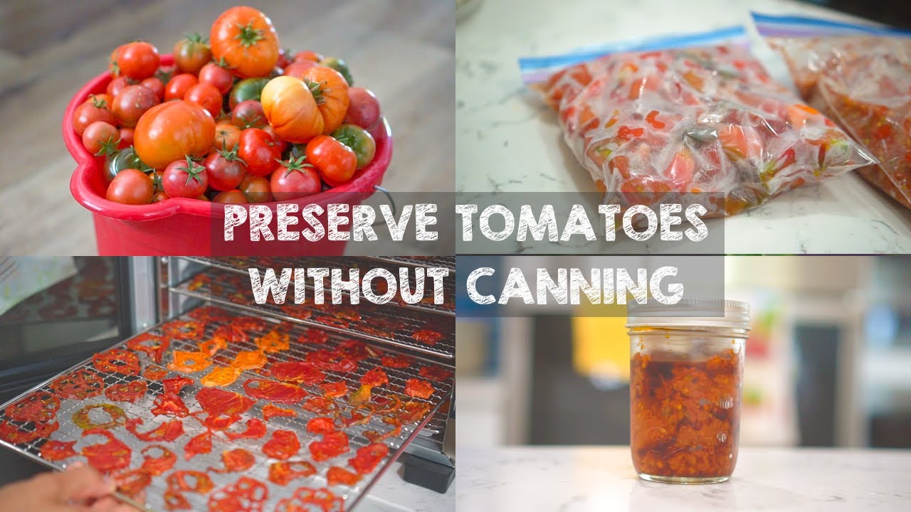 3 WAYS to Preserve Tomatoes without Canning YouTube