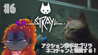 [Stray #6 ]ゴリラとネコの大冒険！[Vtuber/ゴリラのわっかちゃん]