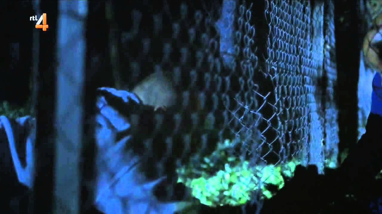 Echte Penoze (2013) Deel 5