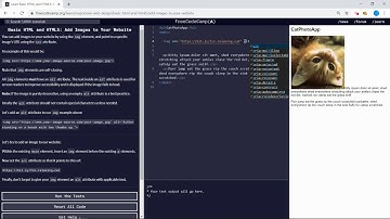 Basic HTML and HTML5 (9/28) | Add Images to Your Website | freeCodeCamp