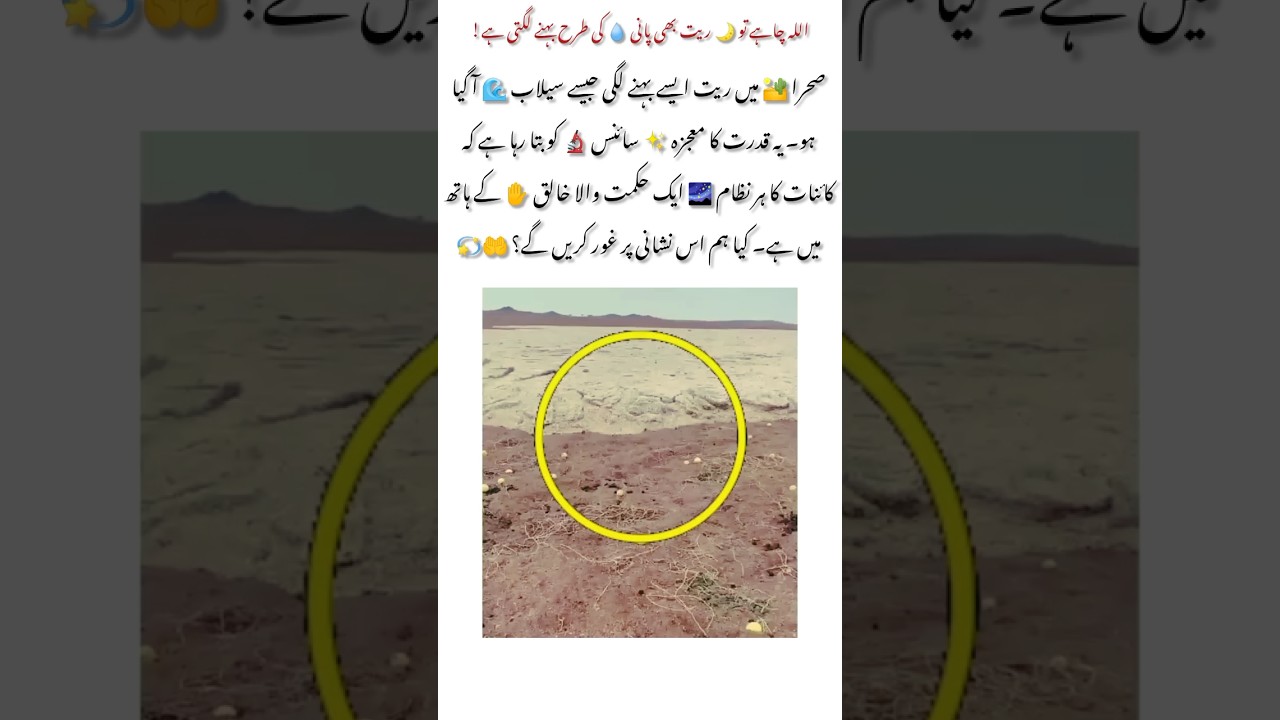 When Desert Sands Flow Like Water ✨ 