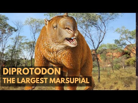 Diprotodon | The Largest Marsupial | Evolution | Prehistory|QuickFacts #history #shorts #extinction