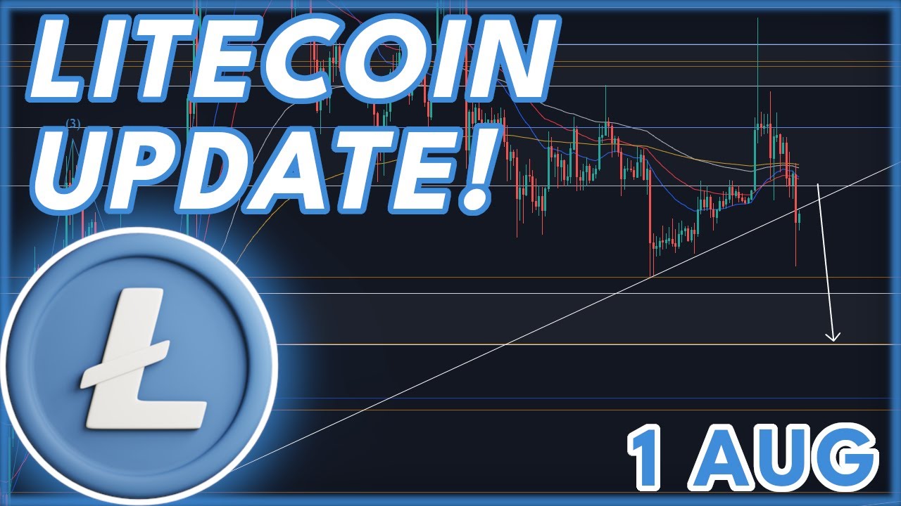 LTC HALVING TOMORROW!🔥 | LITECOIN LTC PRICE PREDICTION 2023
