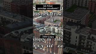 Jak Polsat Sprzedaje Mieszkania?