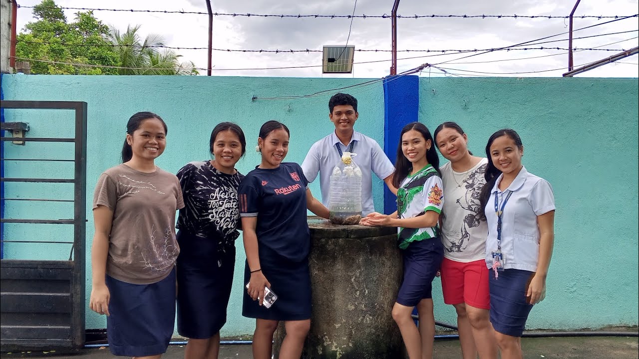 EXPLORING THE WATER CYCLE: AN INTERACTIVE MODEL - (Group 4 Social Studies 3A)