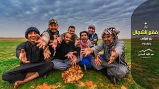 رحلة الفقع في الحدود الشمالية  ( عبدالله العمير )Search for truffles