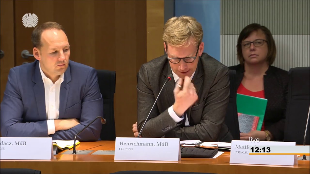 Petitionsausschuss zur Petition von Georg Wurth (DHV) am 11.06.2018