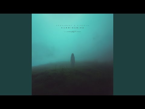 hummingbird (super slowed)