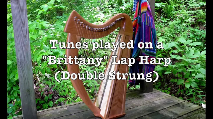 Double Strung 147.  Three Tunes Played on a Britta...