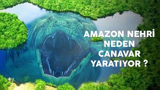 Amazon Nehri Neden Canavar Yaratıyor? Sonunda Gizem Çözüldü Resimi