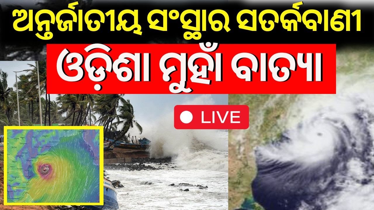 LIVE | ଓଡ଼ିଶା ମୁହାଁ ବାତ୍ୟା ! Cylone Threat For Odisha | Odisha Rain  News