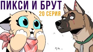 видео: Пикси и Брут. 20 серия. Комиксы | Мемозг 1007 картинка: Пикси и Брут. 20 серия. Комиксы | Мемозг 1007