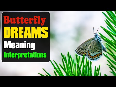 Wideo: Czy byłem motylem, który marzył?