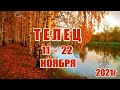 ТЕЛЕЦ. 11 - 22 ноября 2021 года. Таро прогноз, Таро гороскоп.