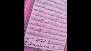 خالد الجلیل 🤍 سورة البقرة