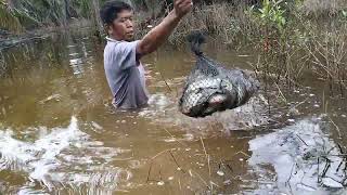 Cara Tercepat Dan Termudah Mendapatkan Ikan Nila Liar❗️Perangkap.Ikan Nila
