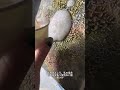 自分勝手に生きるという難しさ