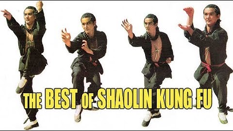 Wu Tang Collection - Best of Shaolin Kung-Fu