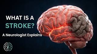 What Is a Stroke The Minutes That Decide Recovery