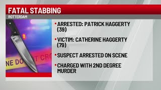 Rotterdam man accused of fatally stabbing mother