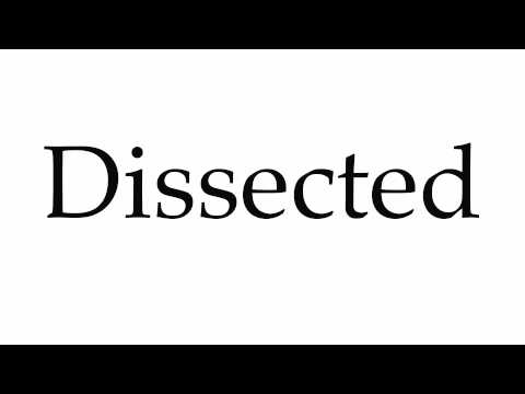How to Pronounce Dissected