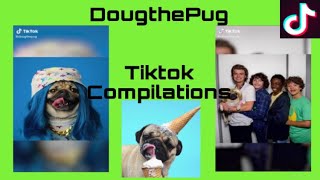 11 Minutes of DougthePug Cuteness Tiktok Compilations