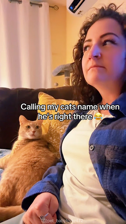Saat memanggil nama kucing secara langsung😹#cat #funny #for #foryou #fyp #funnyvideo #animal #usa #pets