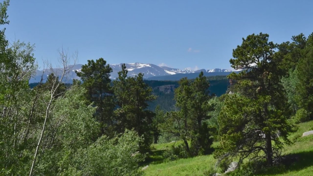 What to do if you get bit by a snake on a hike