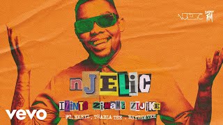 Njelic - Izinto Zimane Zijike (Visualizer) ft. Mkeyz, Thabza Tee, Rhythm Tee
