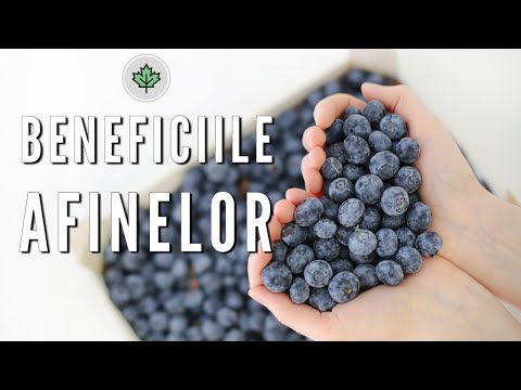 Afinele | Beneficiile plantelor de la A la Z