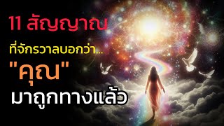 🪽11 สัญญาณ ที่จักรวาลต้องการบอกว่า 