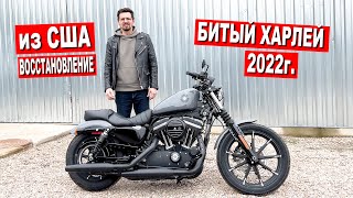 Купил БИТЫЙ ХАРЛЕЙ 2022г из США / ВОССТАНОВЛЕНИЕ / ЦЕНА РЕМОНТА