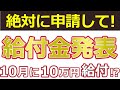 【最新速報】新たな給付金が発表!年内に10万円の一律給付金!?給付時期・申請方法・給付金額をまるっと解説!