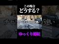 #ninja1000 #ツーリング #日本一周バイク旅 #運転#バイク乗り #バイク女子