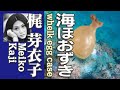 海ほおずき whelk egg case   梶 芽衣子 Meiko Kaji