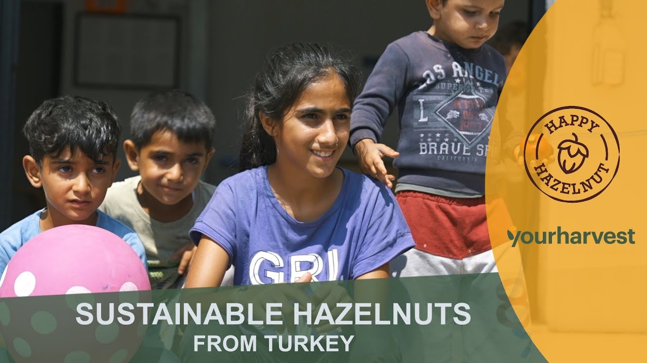 Project Hazelnut Happy Hazelnut - Project video EN - YouTube