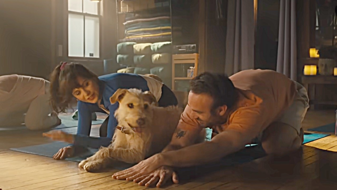 MERV 2025 — Их собака теряет свою энергию, поскольку им приходится вынужденно заниматься совместн...