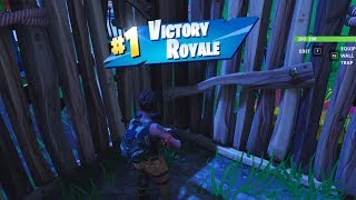 Winning Because of a GLITCH in FORTNITE BATTLE ROYALE!