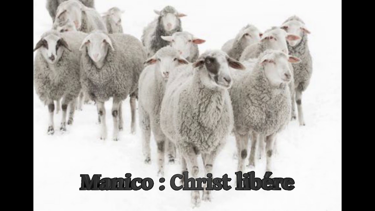 Pasteur Manico : Christ libére