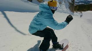W22 Family Tree Show Stopper Camber Snowboard - YouTube