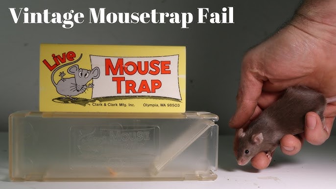 Mousetrap With Sharp Teeth Drew Blood On My Finger. The JAWZ