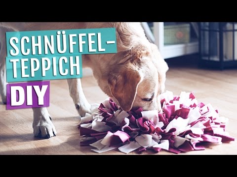 Video: Wie Man Hundeschuhe Näht