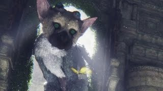 The Last Guardian: Trico is Absolutely Adorable - IGN Plays Live 