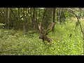 Early Archery season blog episode #3 #archery #fishing #bowhunting #hiking #diy #jesus #hunting 