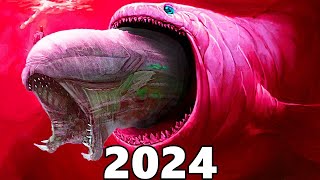 Evolution of BLOOP / Evolution Now